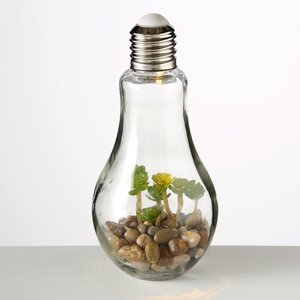Декоративный светильник - флорариум Лампочка с Крассулой 23 см, теплая белая LED подсветка, стекло, IP20