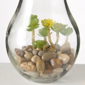 Декоративный светильник - флорариум Лампочка с Крассулой 23 см, теплая белая LED подсветка, стекло, IP20 Boltze фото 4