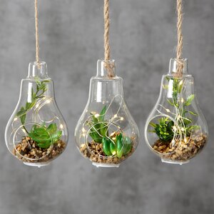 Декоративный подвесной светильник - флорариум с суккулентами Эхеверия и Шлюмбергера 12 см, IP20 Boltze фото 2