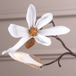 Ветка Магнолии белая 45 см Edelman фото 4