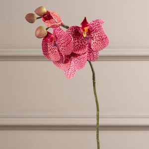 Тигровая искусственная орхидея 37 см Edelman фото 3