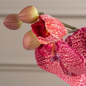 Тигровая искусственная орхидея 37 см Edelman фото 2