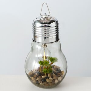 Декоративный подвесной светильник - флорариум Лампочка с Крассулой 23 см, теплая белая LED подсветка, IP20 Boltze фото 3