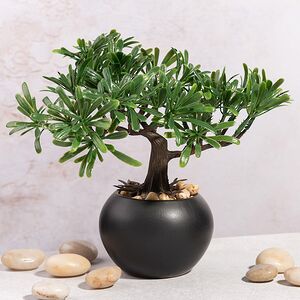 Искусственное растение в горшке Бонсай Лион - Эвкалипт 20 см