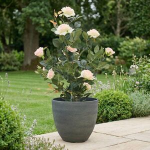 Декоративное кашпо Полуночный туман 31*27 см, пластик