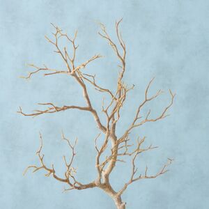 Искусственная ветка Arwon 93 см бежевая Boltze фото 5