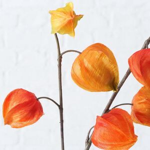 Искусственная ветка Физалис 90 см оранжевый Boltze фото 10