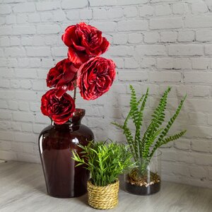 Стеклянная красная ваза Бригитта 22 см Edelman фото 3