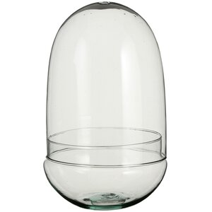 Стеклянная ваза для флорариума и композиций Рододендрон 30*19 см Edelman фото 2