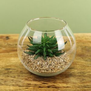 Искусственный флорариум Калифорнийская Агава 12 см Edelman (Эдельман) фото 6