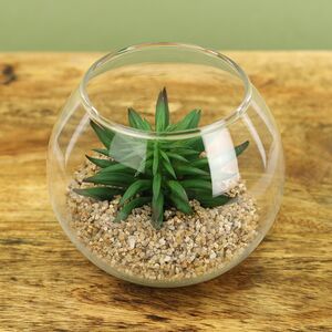 Искусственный флорариум Калифорнийская Агава 12 см