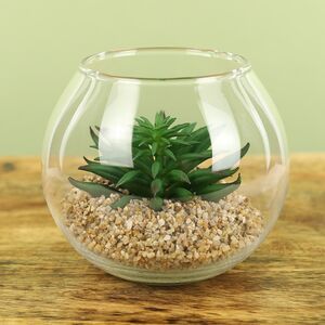 Искусственный флорариум Калифорнийская Агава 12 см Edelman (Эдельман) фото 5