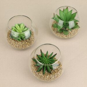 Искусственный флорариум Калифорнийская Агава 12 см Edelman (Эдельман) фото 4