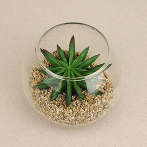 Искусственный флорариум Калифорнийская Агава 12 см Edelman (Эдельман) фото 3