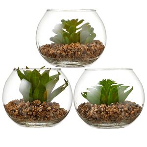 Искусственный флорариум Крассула Сансет 12 см Edelman (Эдельман) фото 5