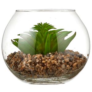 Искусственный флорариум Калифорнийская Агава 12 см Edelman (Эдельман) фото 7