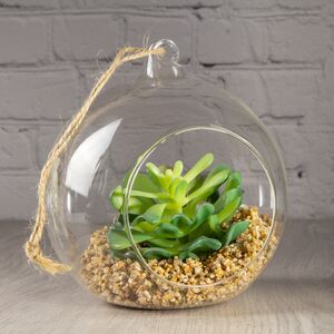 Искусственный флорариум-шар Аравийская Крассула 13 см