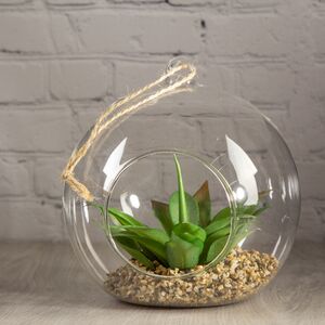 Искусственный флорариум-шар Агава Филифера 15 см (Edelman, Нидерланды). Артикул: 1047781-3