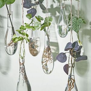 Подвесная ваза Мануэль 30 см, стекло Edelman фото 2