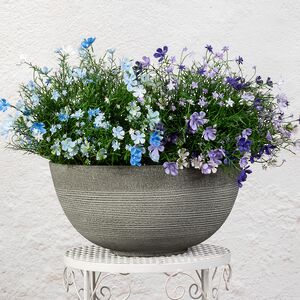 Декоративное кашпо Ричмонд 35*17 см серое, пластик (Edelman, Нидерланды). Артикул: 1054827