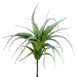 Искусственное растение Перуанская Тилландсия 19 см, зеленая (Edelman, Нидерланды). Артикул: ID65534