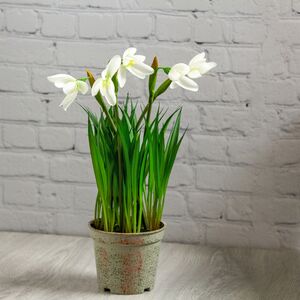 Искусственный цветок в горшке Подснежник Королевский (Edelman, Нидерланды). Артикул: 1062878-4