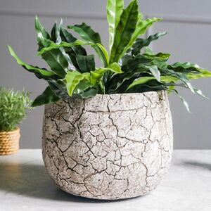 Декоративное кашпо Эрмосильо 24*21 см (Edelman, Нидерланды). Артикул: 1066676