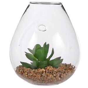 Настенный искусственный флорариум Эхеверия Лау 12*11 см Edelman фото 2