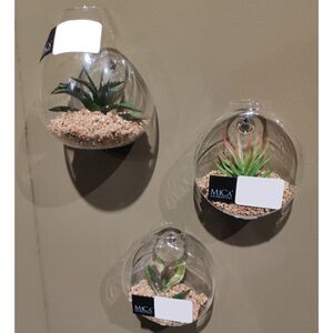 Настенный искусственный флорариум Адениум 10 см Edelman фото 3