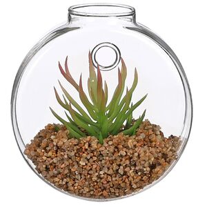 Настенный искусственный флорариум Агава Королевы Виктории 10 см Edelman фото 2