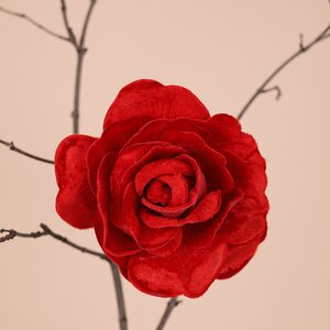 Роза Дейрона Velvet 12 см красная, клипса (Edelman, Нидерланды). Артикул: ID71211