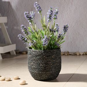 Декоративное кашпо Вальдевинн 14 см