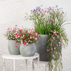 Керамическое кашпо Тиарольди 16*14 см Edelman фото 3