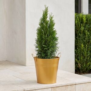 Металлическое кашпо Joey золотое