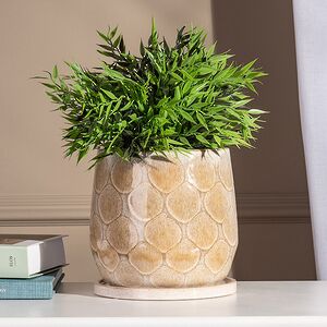 Керамическое кашпо Lousberg Cremone 19 см Edelman фото 1