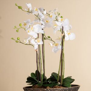 Искусственная орхидея Фаленопсис 76 см, без кашпо