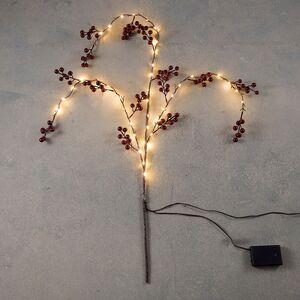 Светящаяся ветка Блейкни 100 см, 40 теплых белых LED ламп, таймер, на батарейках (Edelman, Нидерланды). Артикул: 1174923