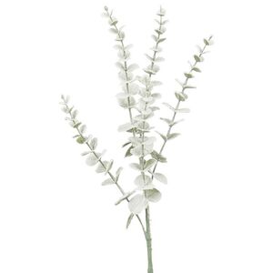 Искусственная ветка Эвкалипт Дымчатый 71 см, мятный (Edelman, Нидерланды). Артикул: 1183417