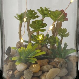 Декоративный светильник-флорариум Тринити с Крассулой 23 см, теплая белая LED подсветка, стекло, IP20 Boltze фото 4