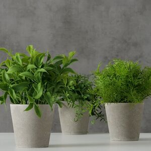 Искусственное растение в горшке Фельчендо 17 см Boltze фото 3