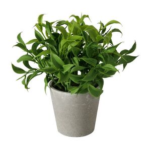 Искусственное растение в горшке Иратсеа 17 см Boltze (Больтце) фото 6