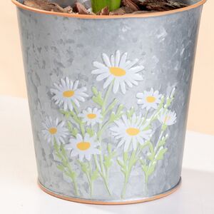 Металлическое кашпо Ведерко Луфен 14 см Boltze (Больтце) фото 2