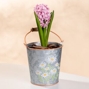 Металлическое кашпо Ведерко Луфен 14 см (Boltze, Германия). Артикул: 2031323/9715834