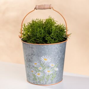 Металлическое кашпо Ведерко Луфен 15 см (Boltze, Германия). Артикул: 2031323/9715835