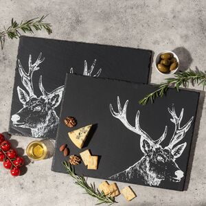 Набор сервировочных досок из сланца Moritz 48*22 см, 2 шт