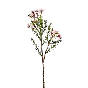 Искусственные ветки Хамелациум - Carmona 27 см, 2 шт EDG фото 6