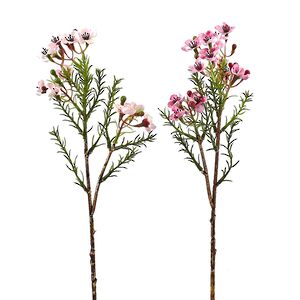 Искусственные ветки Хамелациум - Carmona 27 см, 2 шт EDG фото 5