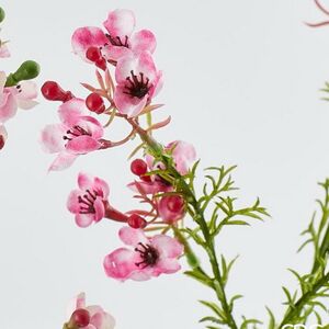 Искусственные ветки Хамелациум - Carmona 27 см, 2 шт EDG фото 3