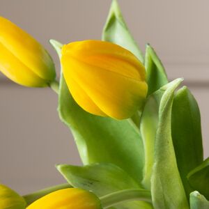Силиконовые тюльпаны Идальго 9 шт, 29 см желтые EDG (ЭДГ) фото 4