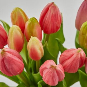 Силиконовые тюльпаны Hidalgo 9 шт, 29 см темно-розовые EDG фото 8